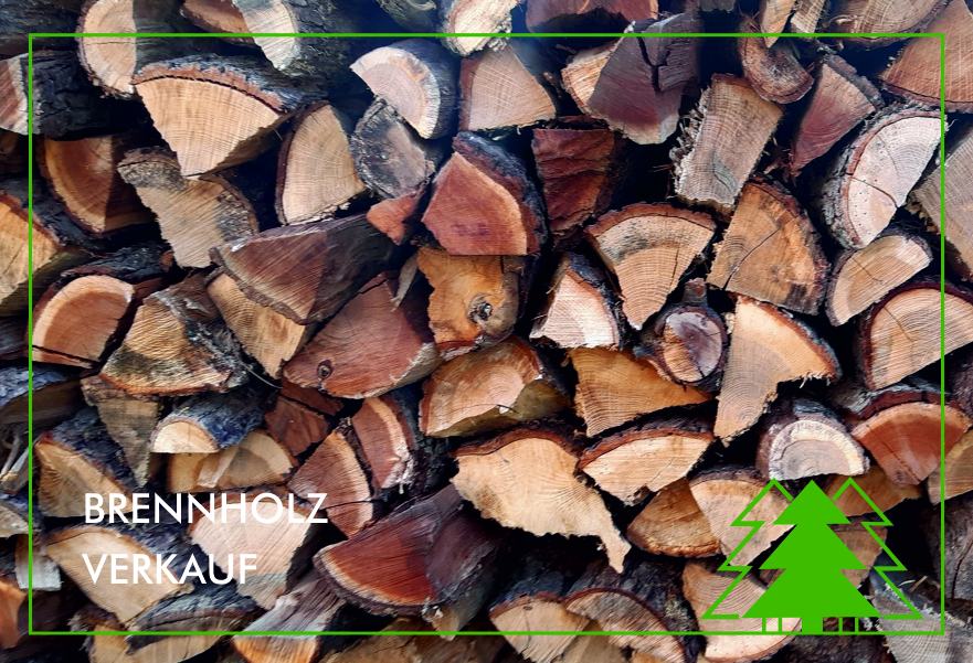 Brennholz_Stapel